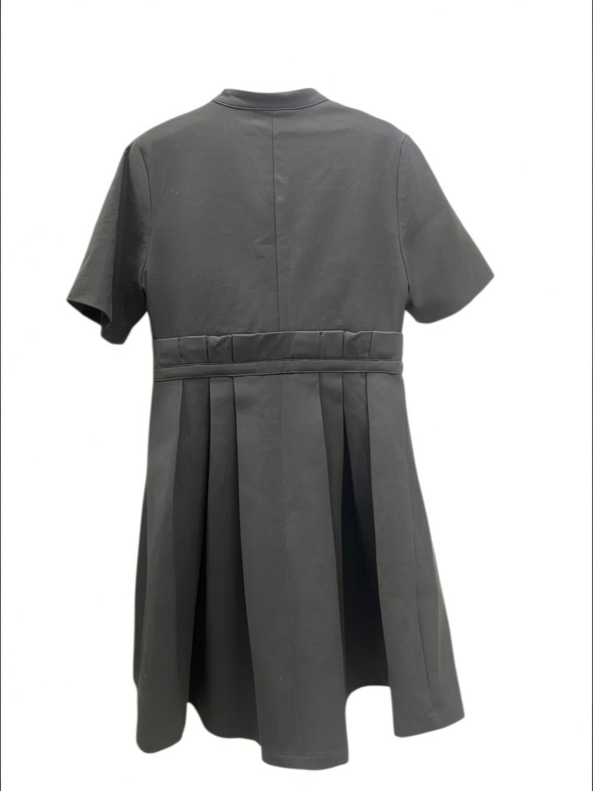 Buttoned Short Sleeve Pleated Dress