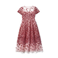 Summer and Sage Lace Floral Dress